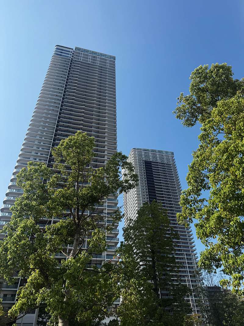 『HARUMI FLAG PARK VILLAGE T棟50階※最上階・プレミアム住戸』の賃貸管理・不動産管理を受託（賃貸管理・不動産管理）させて頂いております！